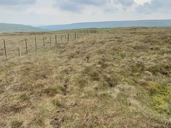 A wire fence line running across Cray Moss