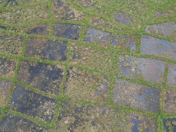 Aerial view of cell bunding at Swarth Moor showing water pooling