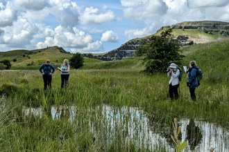 Volunteers gathered around a bog pool recording dragonfly sightings