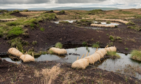 Coir log sediment traps on Fleet Moss.