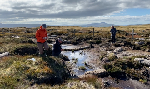 Three volunteers planting sphagnum, Ingleborough in the distance