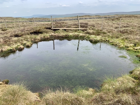 A new pool on blanket bog gradually filling with sphagnum moss