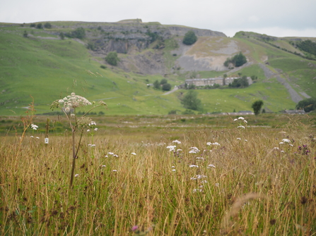 A view of the landscape across Swarth Moor, with the hillside and quarry in the background