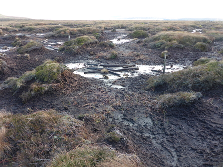 Damaged peatland with large expanses of bare peat and little vegetation