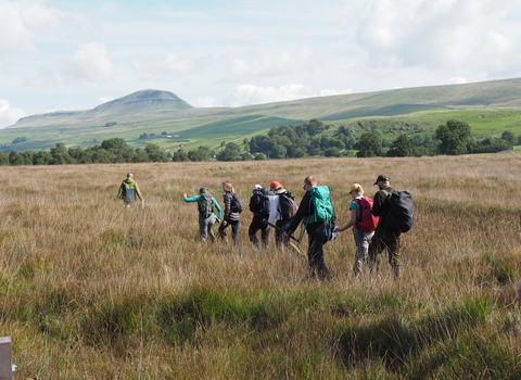 A group of people striding out in single file across Swarth Moor, Pen-y-ghent in the background