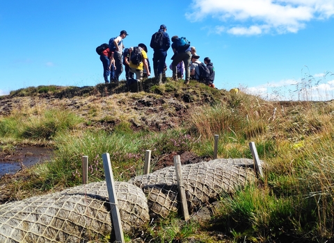 A group of course participants stood on a peatland in bright sunshine